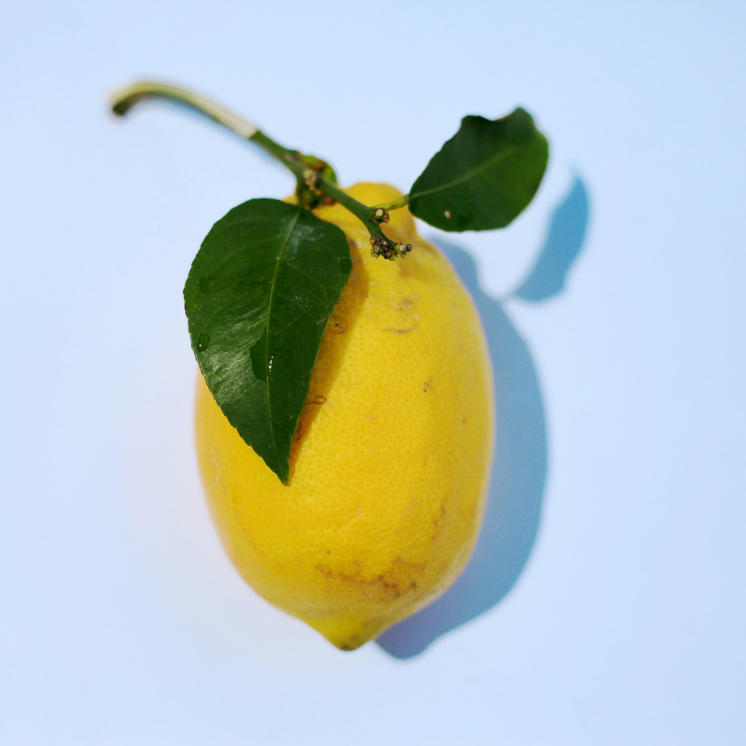emily-sanburg-KzDKyDi8wos-unsplash