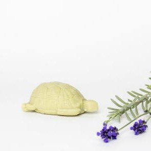 Tiere-Schildkroete-Web-1