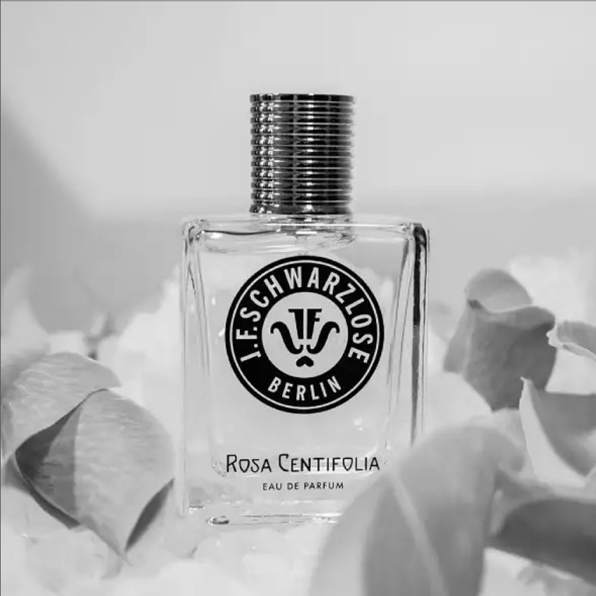 centifolia5