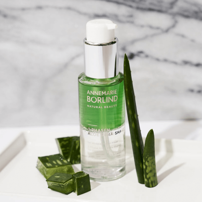 boerlind-aloe-vera-shake-aloe_pflanze