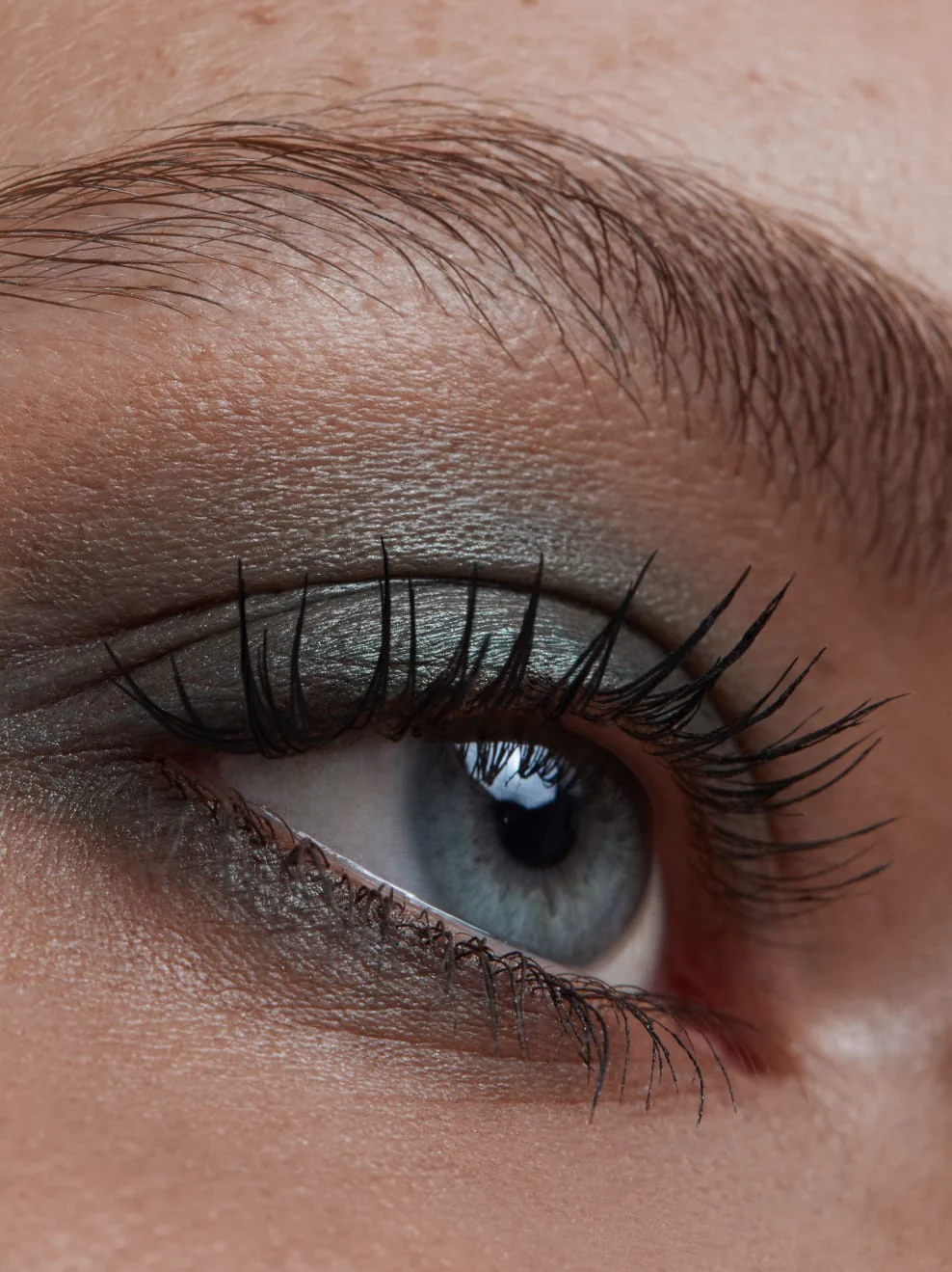 IMBE-Eye-Shadow-Pine-08