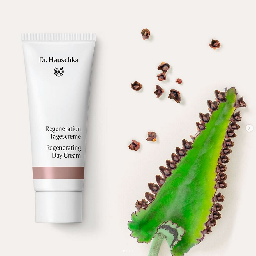 regeneration-tagescreme-40-ml-dr_-hauschka-1 Regeneration-Tagescreme-40-ml