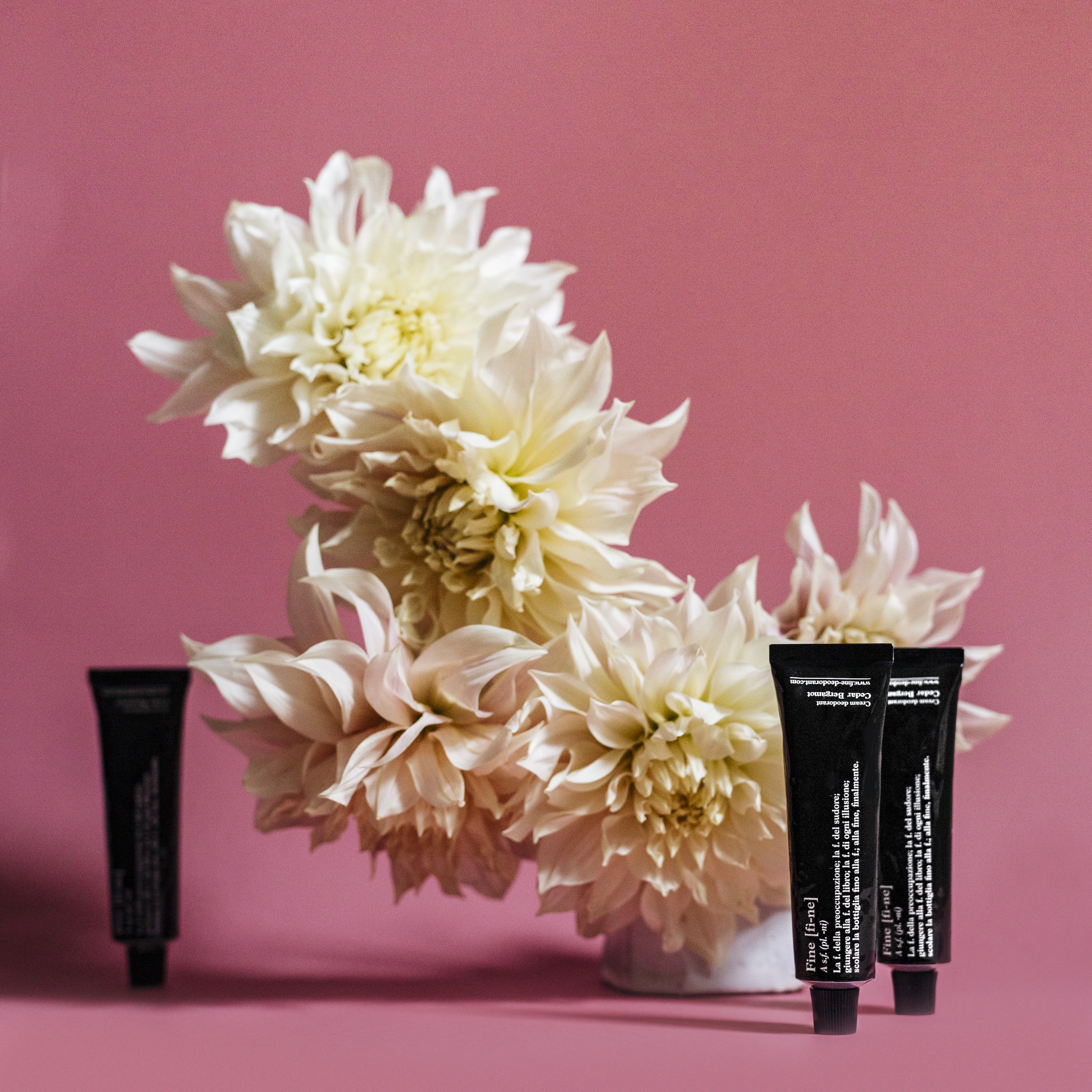 Fine-Cosmetics_September_CB-40-Mood1