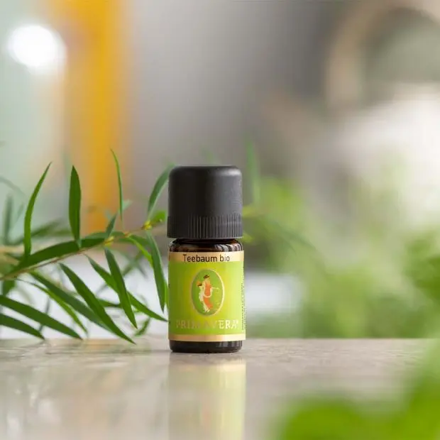 Teebaum bio, 5 ml