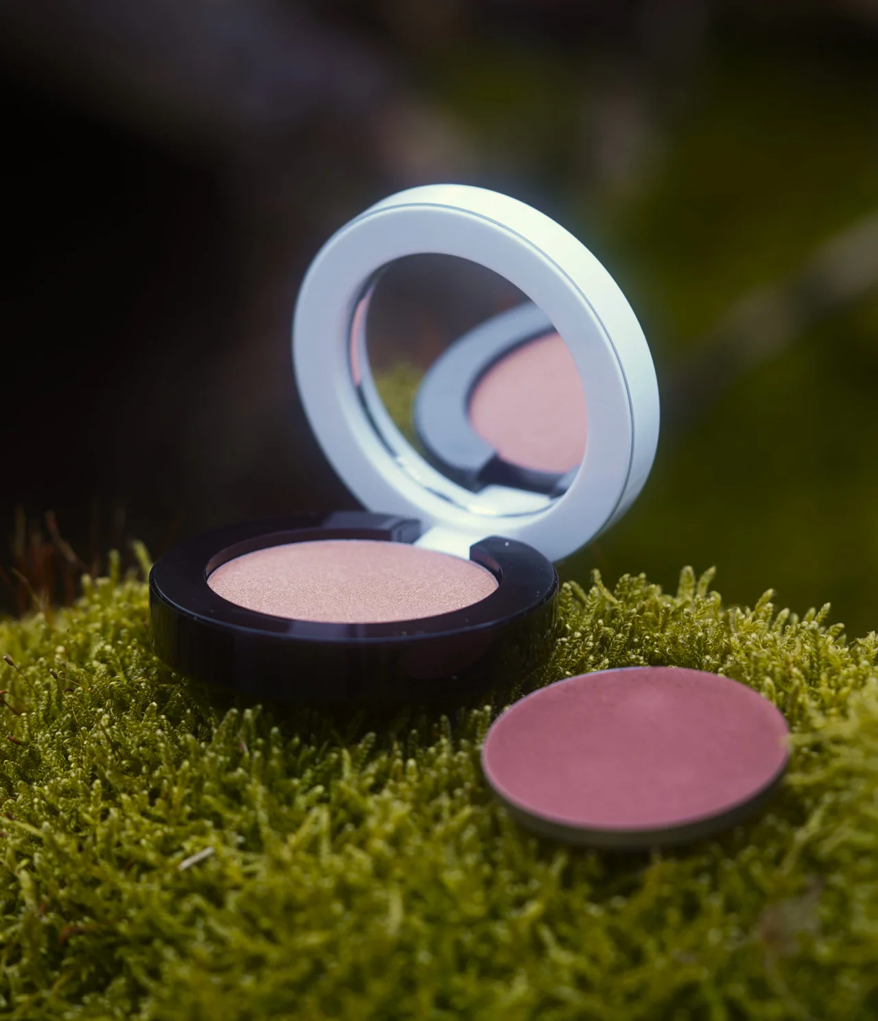 Refillable Eye Shadow Case