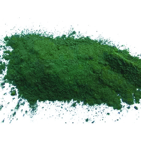 spirulina1