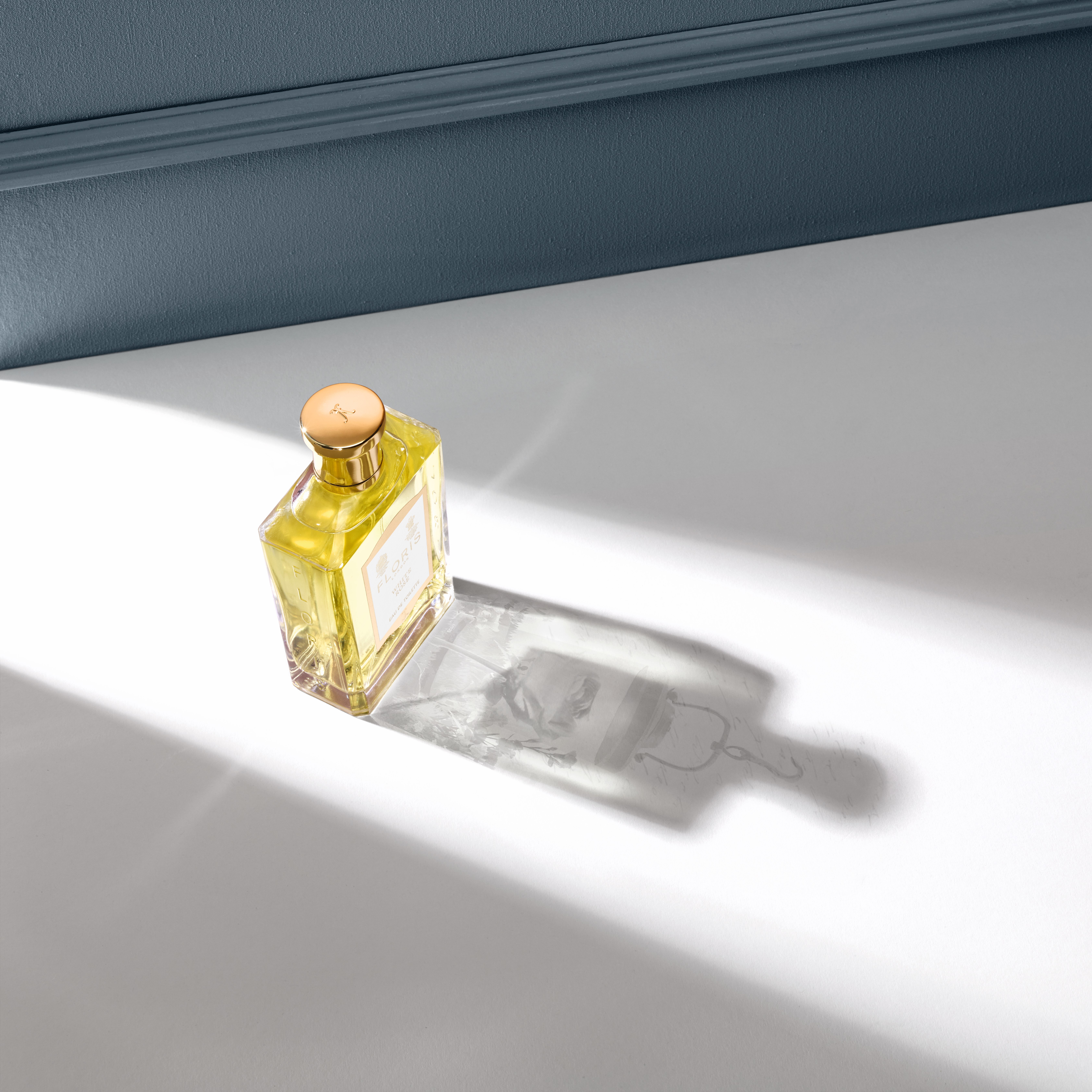 2023-ICONS-White-Rose-EDT-CMYK