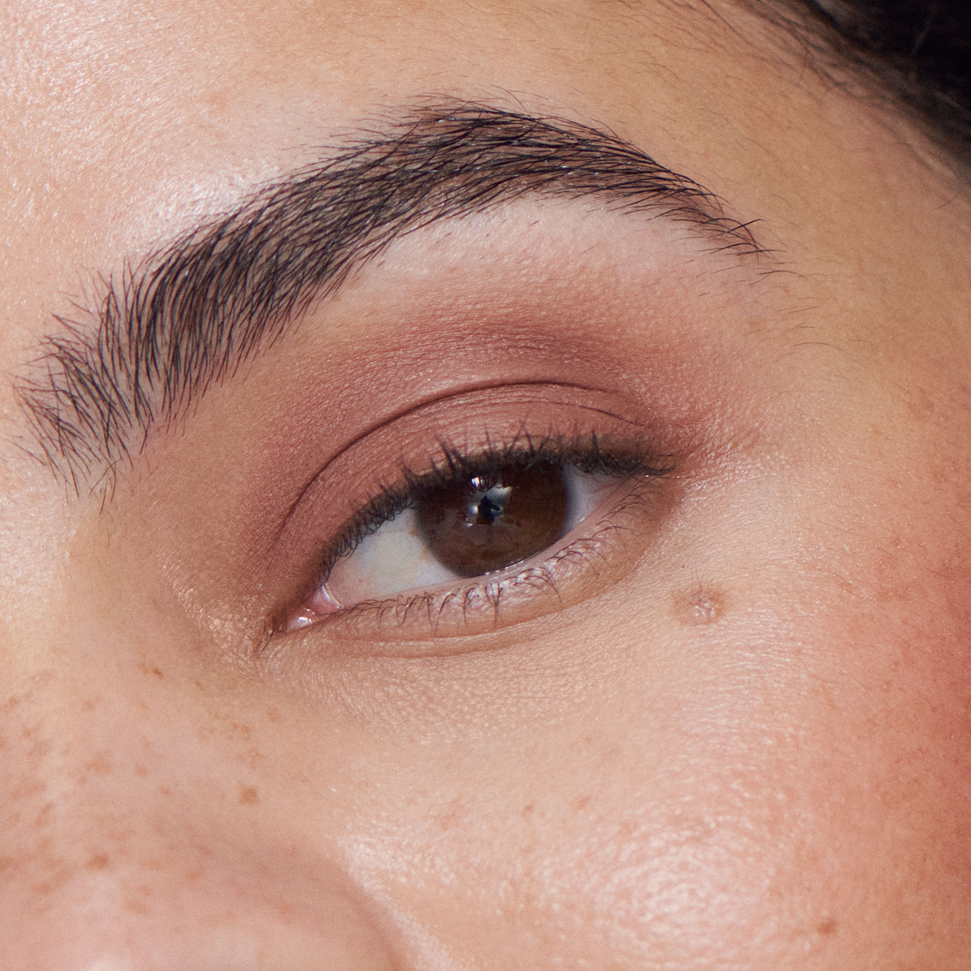 ILIA-Beauty-Liquid-Powder-Eye-Tint-Tannin-818107029806_4