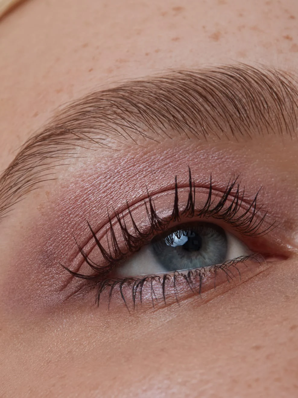 IMBE-Eye-Shadow-Seashell-04