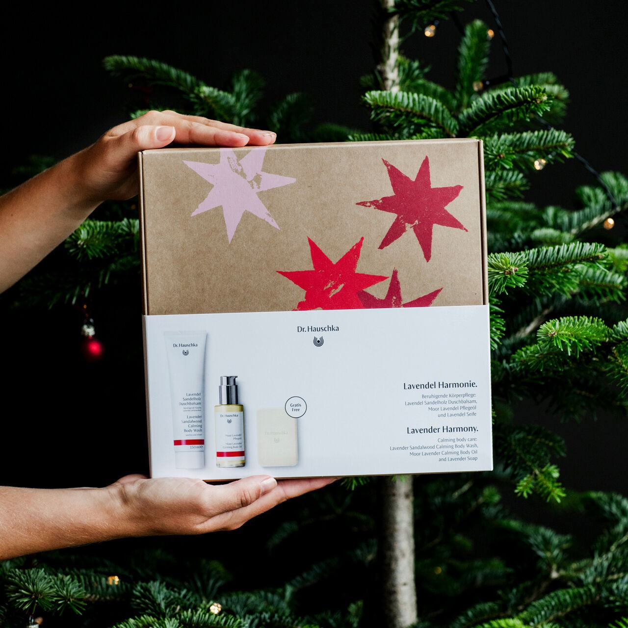 Weihnachten-2024-Geschenkset-Lavendel-Harmonie-DE-GB-geschlossen-mit-Banderole-Hande-Model-Weiblich-Weihnachtsbaum_dic_master
