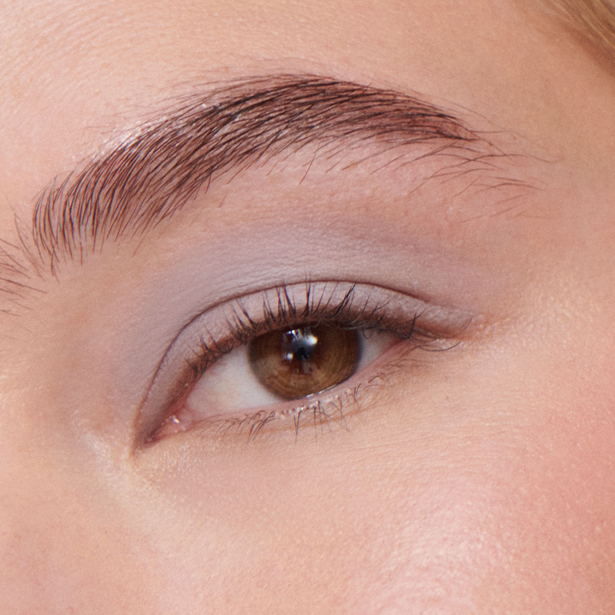 ILIA-Beauty-Liquid-Powder-Eye-Tint-Dove-818107029837_4