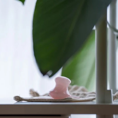 gua-sha-rosacVIGUYoUeyGXG