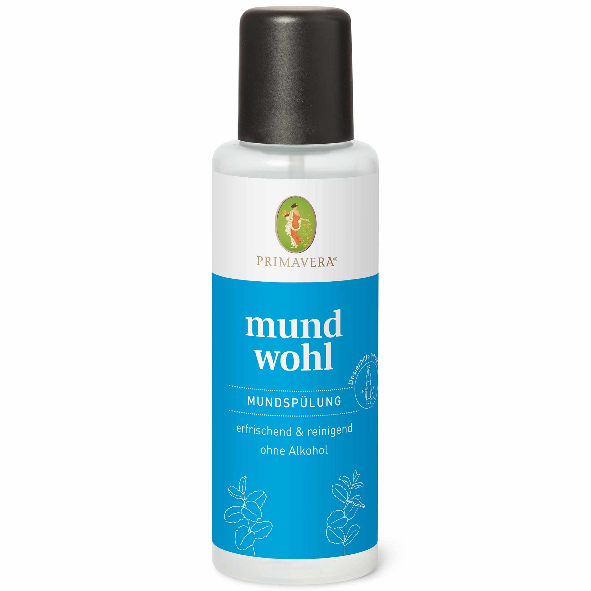 Mundwohl Mundspülung 250ml