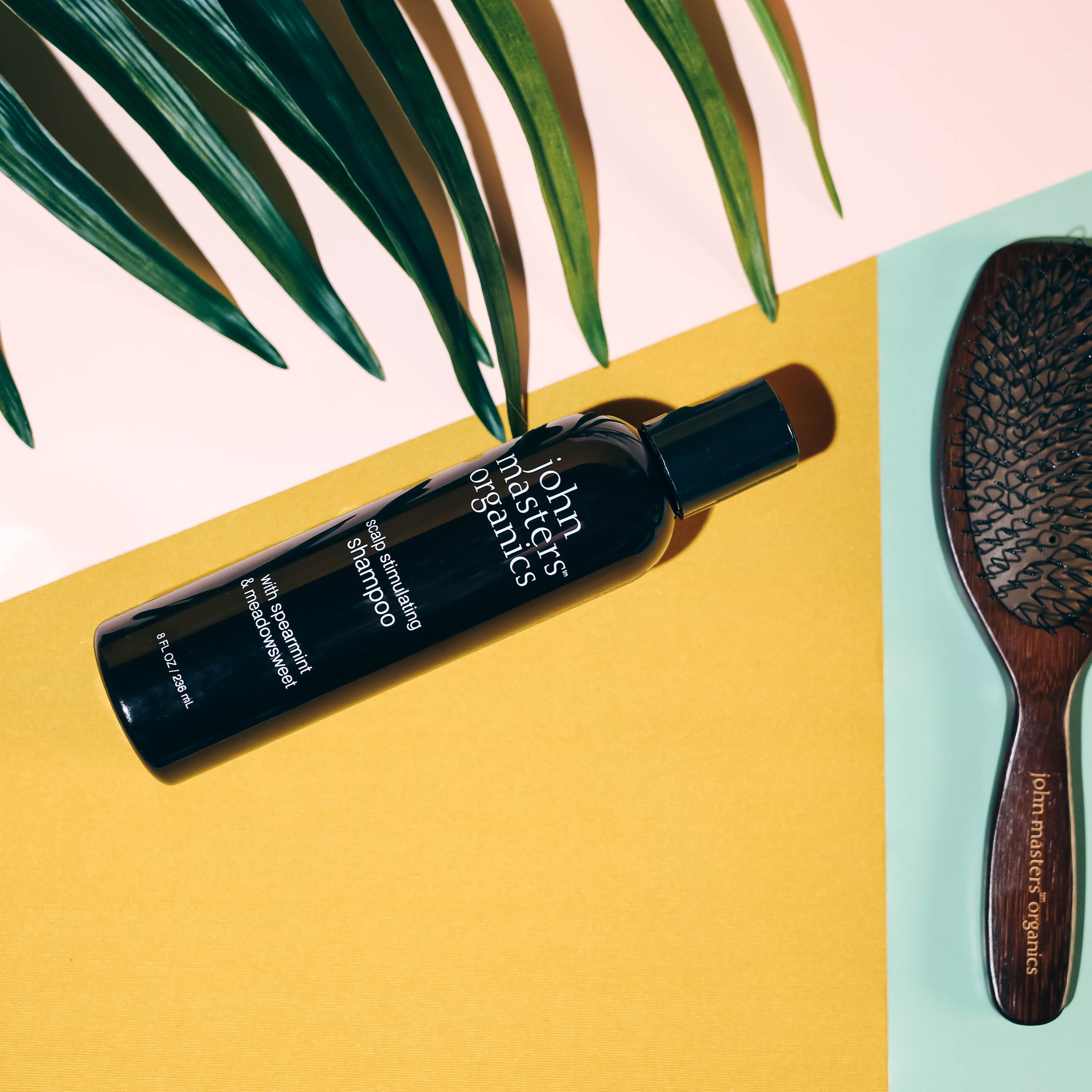 Scalp-Shampoo-Brush