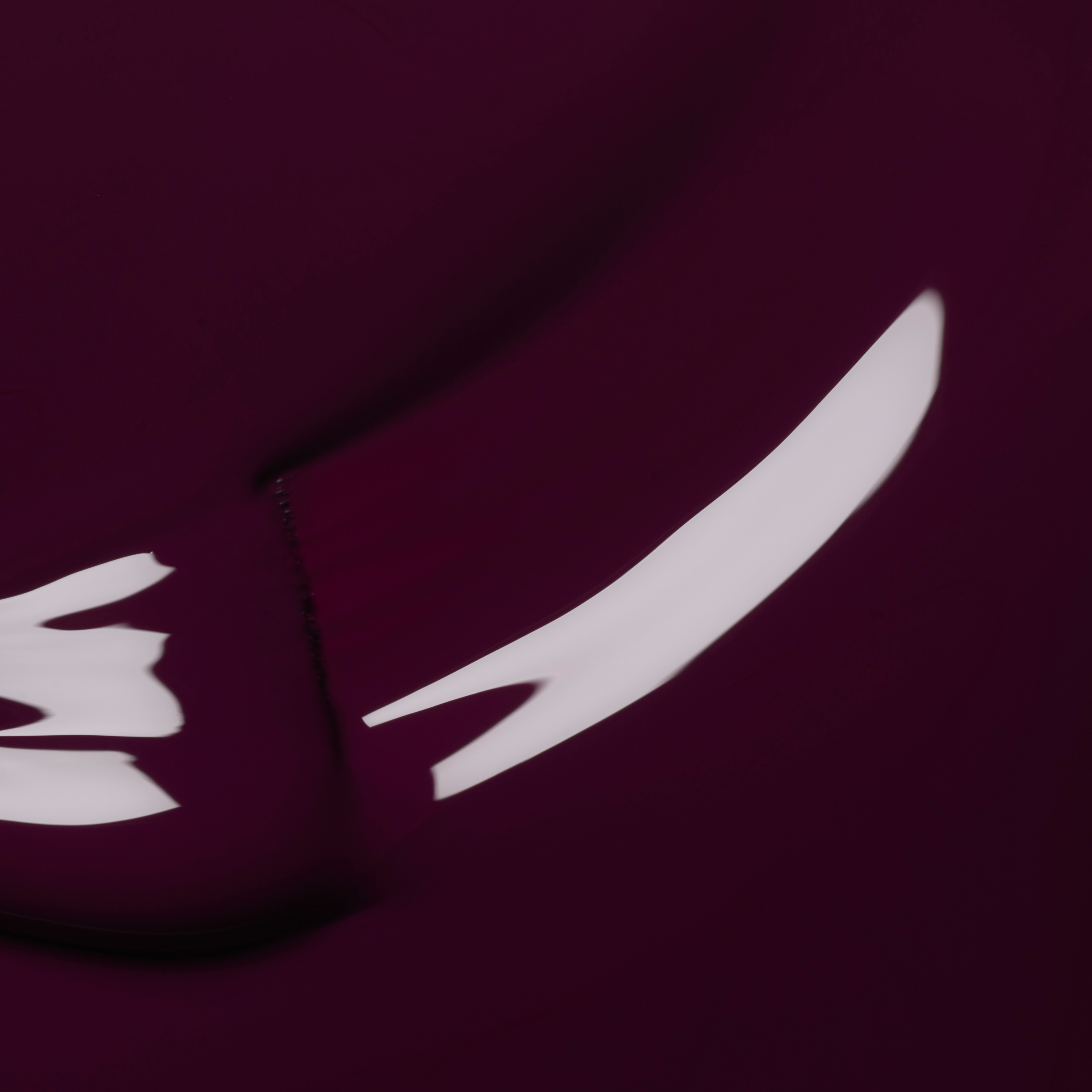 Aubergine_3662263311216_2