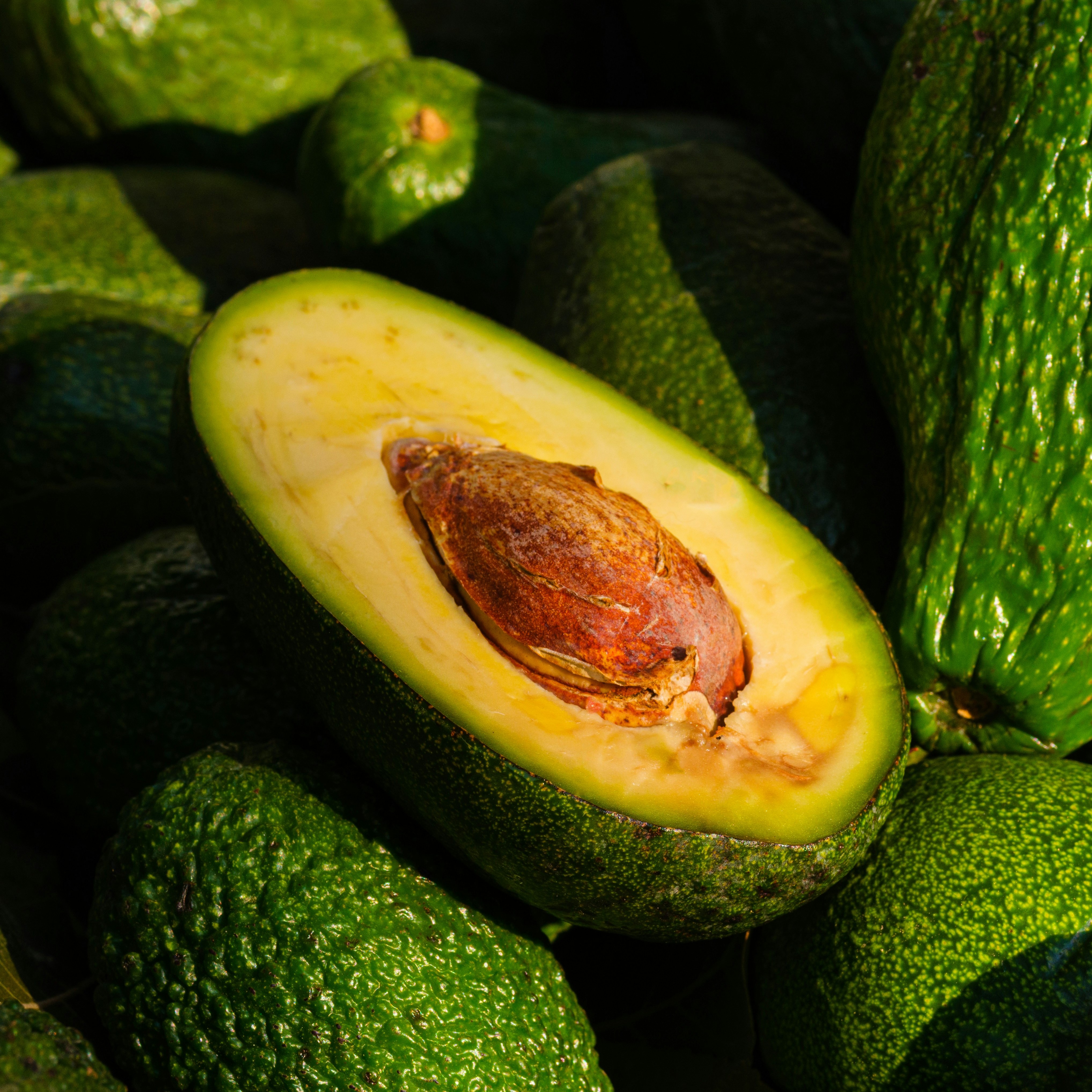 Avocadoöl bio, 100 ml