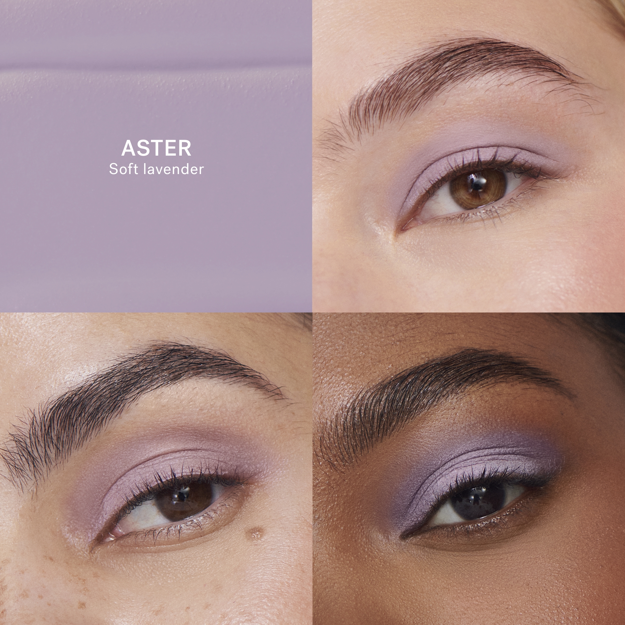 ILIA-Beauty-Liquid-Powder-Eye-Tint-Aster-818107029868_6