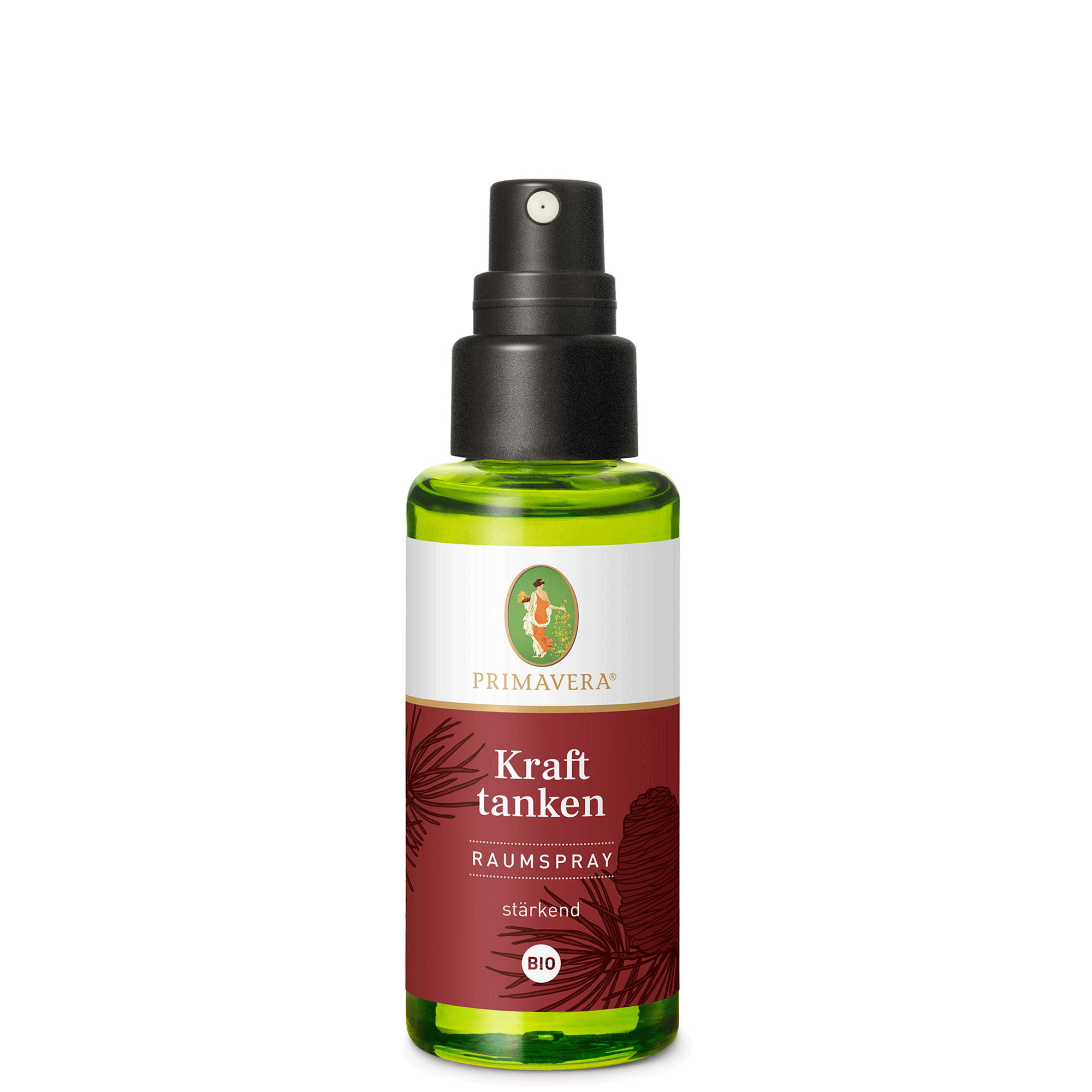 19517-Raumspray-Kraft-tanken