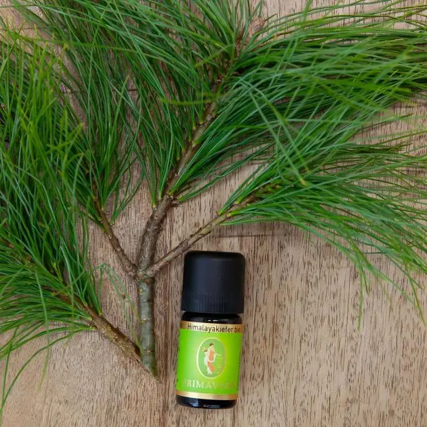 Himalayakiefer bio, 5 ml