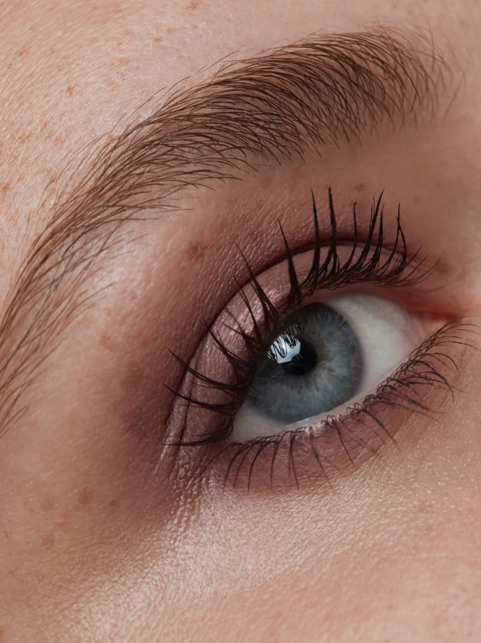 UG_IMBE_PS_Powder_Rose_RGB_L2_2746x3668px_frei IMBE Eye Shadow Powder Rose 09