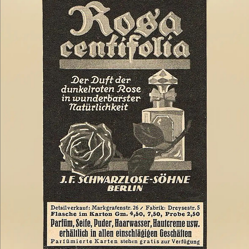 centifolia3