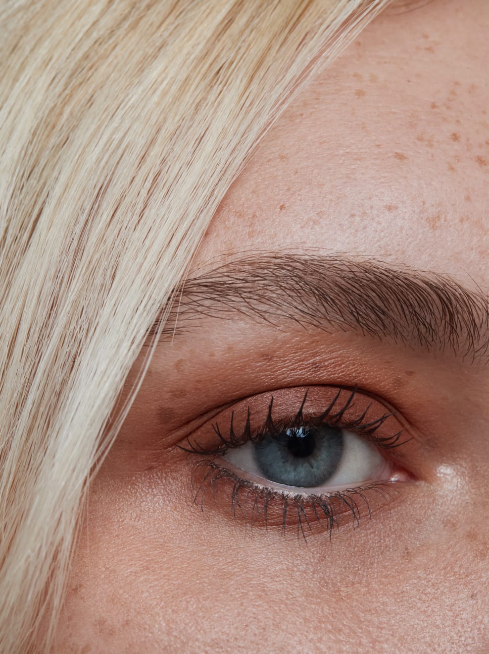 IMBE-Eye-Shadow-Auburn-02