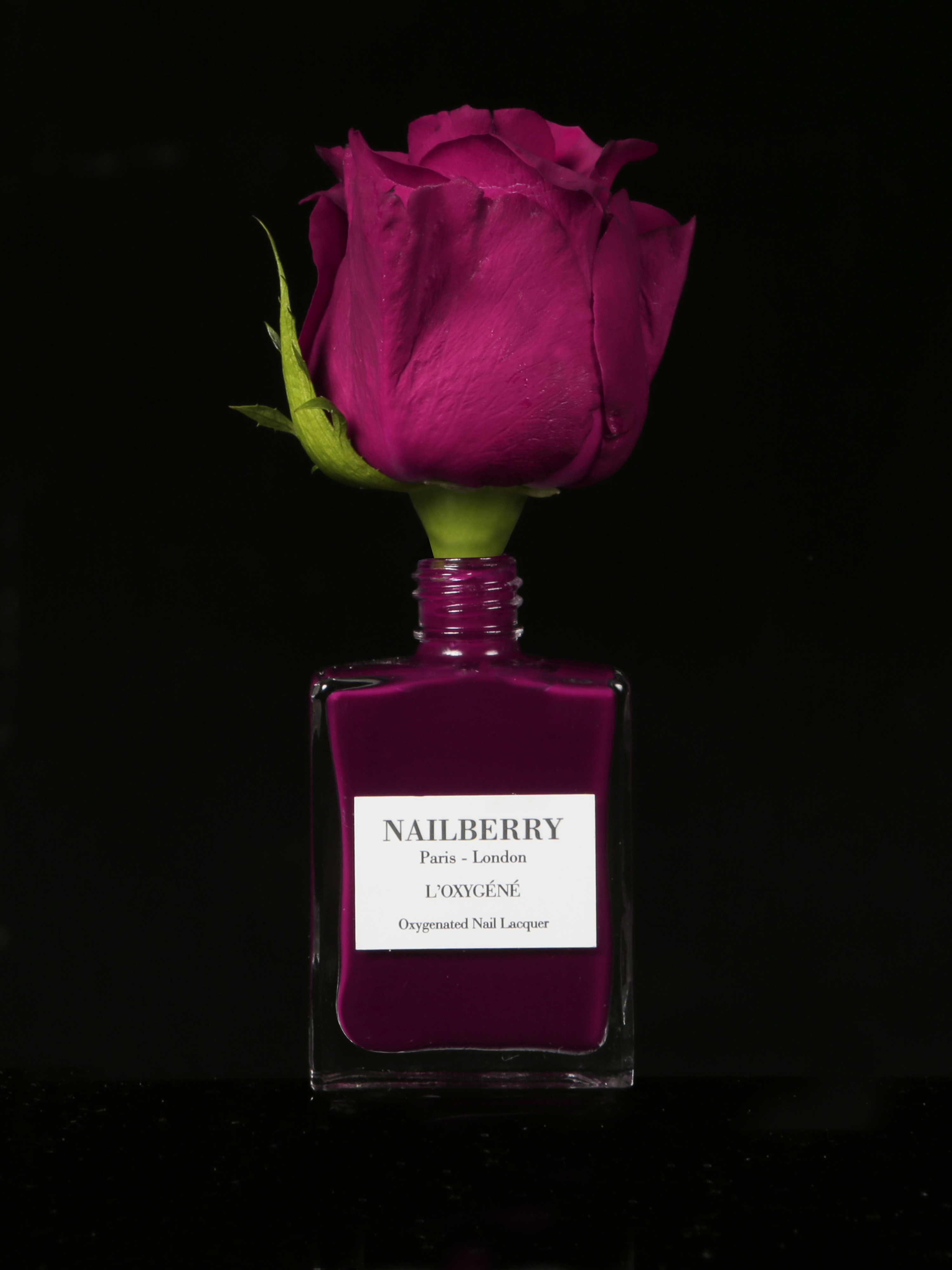 CF_Nailberry_No-Regrets_15ml_EAN_506052548004 No Regrets