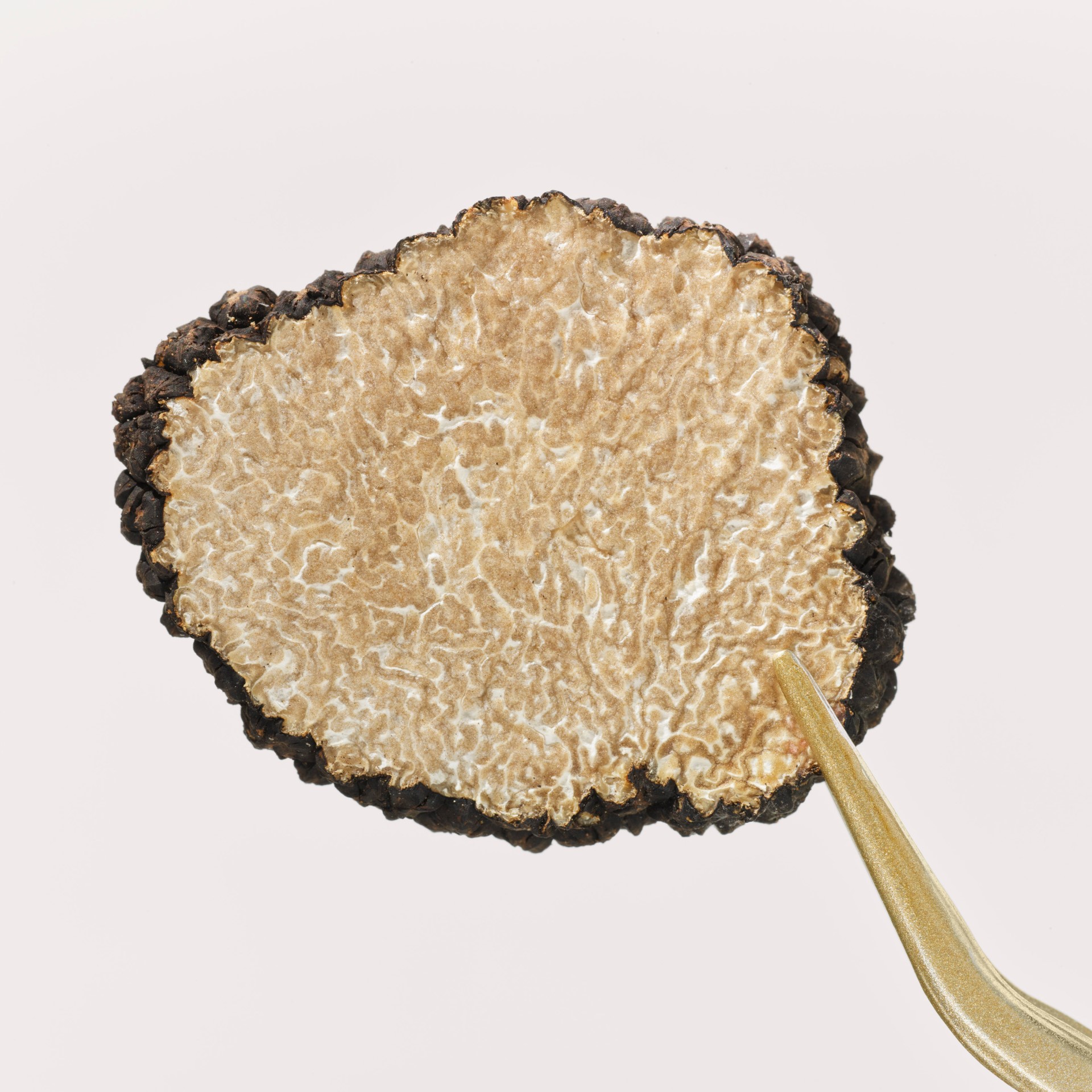 Truffel-NATUROYALE_Presseformat_14522