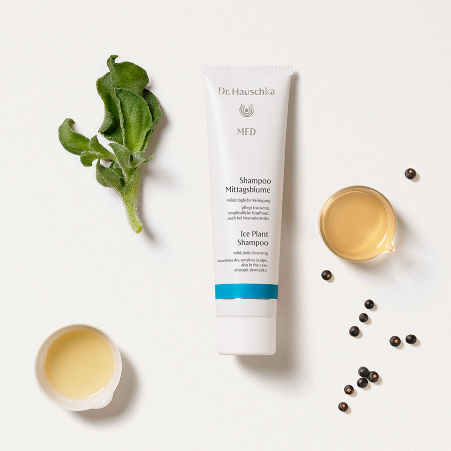 shampoo-mittagsblume-03-420004961