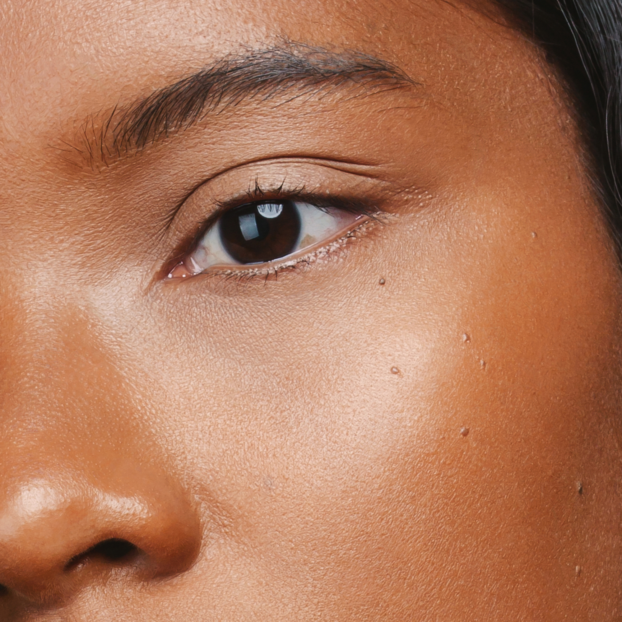 4752223000607 THE CONCEALER, HAZELNUT 55