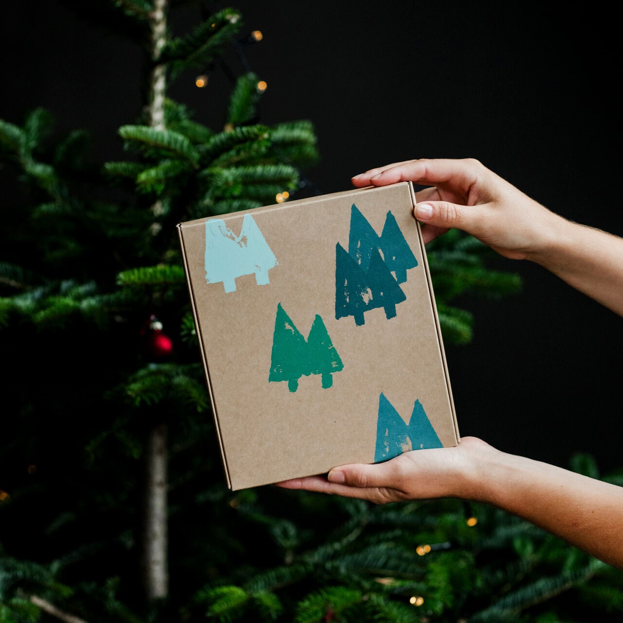 Weihnachten-2024-Geschenkset-Winter-Essentials-geschlossen-ohne-Banderole-Hande-Model-Weiblich-Weihnachtsbaum_dic_master