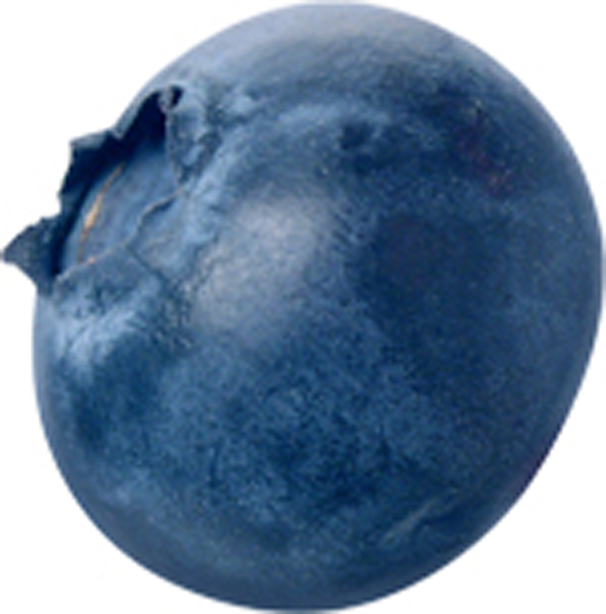 Blueberry