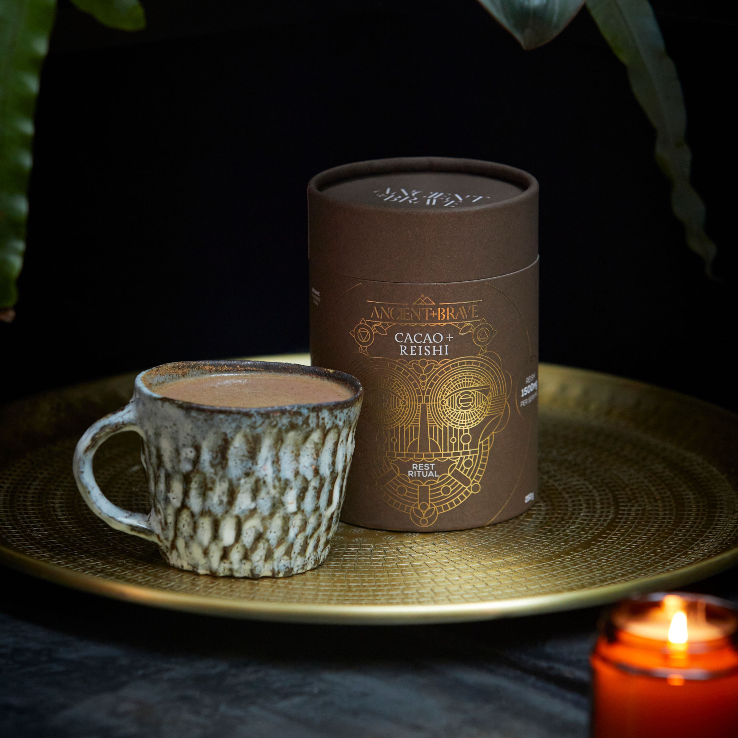 Cacao_-_Reishi_021-cropped