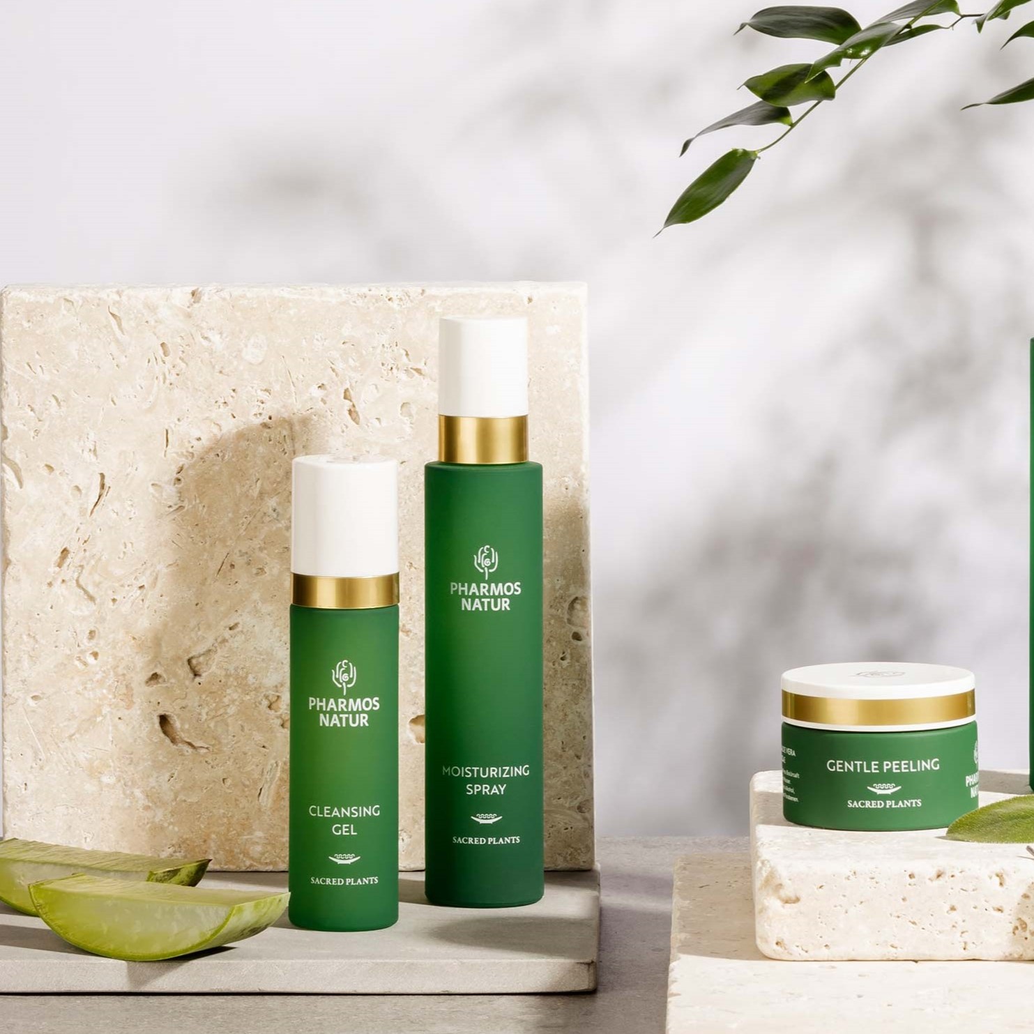 CLEANSING-GEL-THUMBCt21oJqpAgOTm