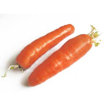 4-Carrot1