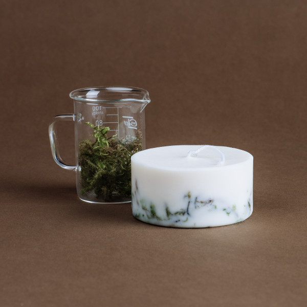 Soy wax candle "Moss" 220 ml